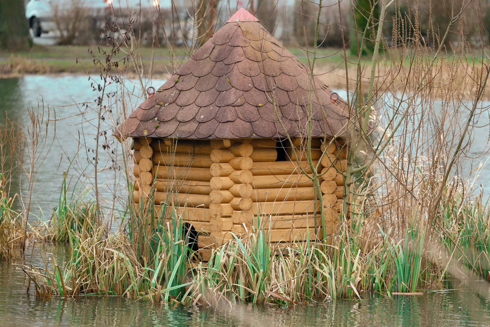 A home on the water in McFarland