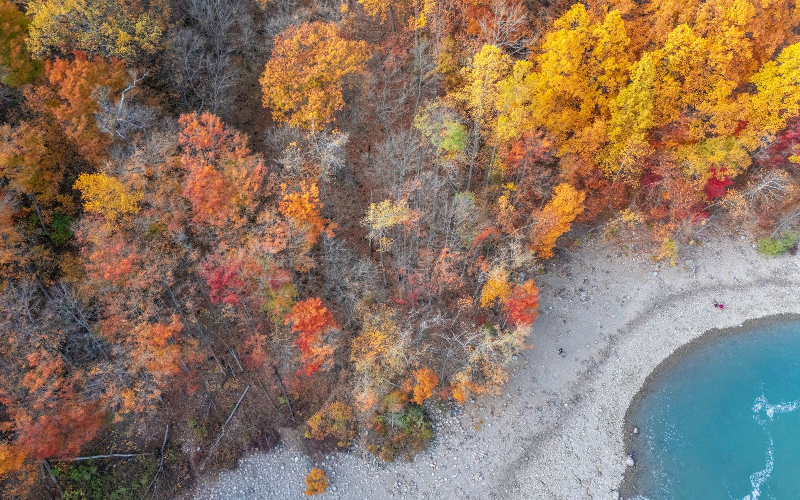 Autumn colour along a Wisconsin lake shoreline